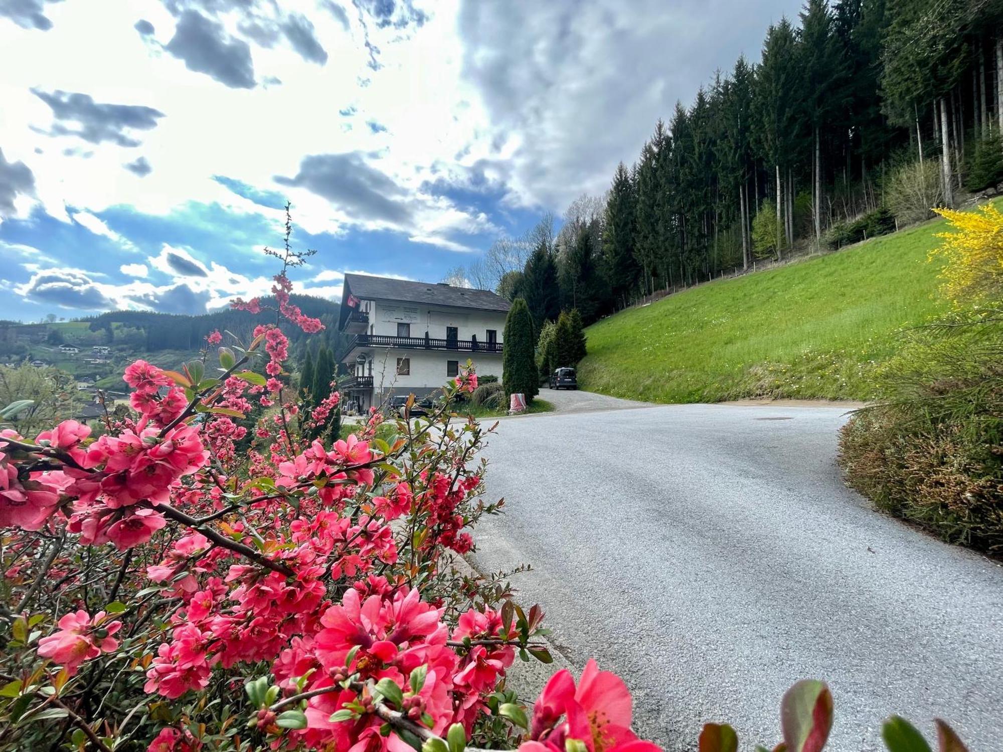 Alpenpension Gasthof Раттен Экстерьер фото
